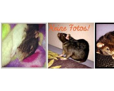 InstaWeek "We will miss you Otto!"