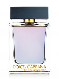 Dolce & Gabbana The One Gentleman