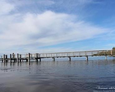 Wordless/Wordful Wednesday: Dreaming of summer...+ Linky