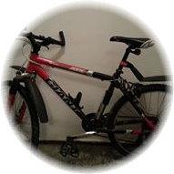 Ein neues Fahrrad muss her