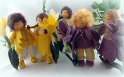 Krokusse in weiß, gelb und lila!