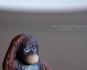 Drei 20vierzehn Tausendschön Pistazie Gr. 29-30