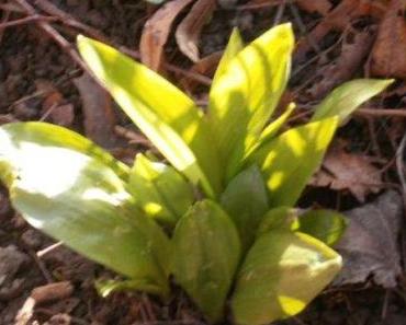 Lust auf Gesundheit und Lebensfreude