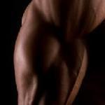 Muskeln definieren -was wirklich zählt in 3 Minuten
