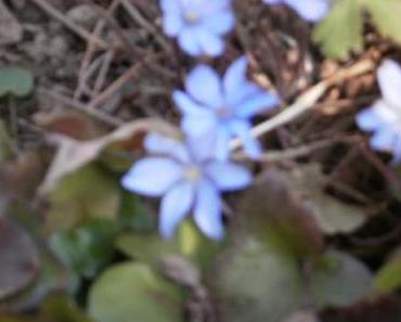 In der Liebe ist keine Angst