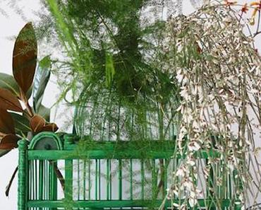 Earthly Delights – “grün” – die Februar-Ausgabe