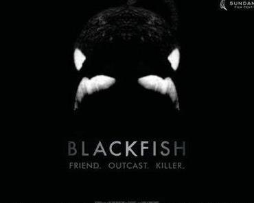 Review: Blackfish- Das Geschäft mit den Orcas
