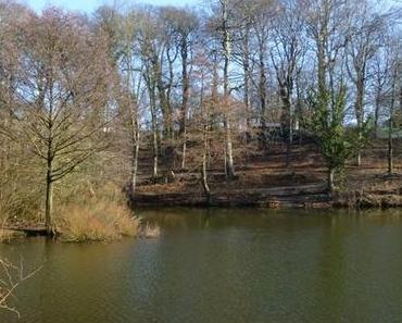 Mein 12tel Blick # 2