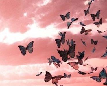 wallpaper-1689754