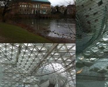 Biwyfi: Wofür ich im Februar dankbar bin – oder – Mein D’Dorf-Day, ein Tag der Superlativen