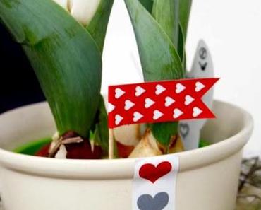 Wir machen Mundpropaganda! - Cheesecake knutscht Himbeere