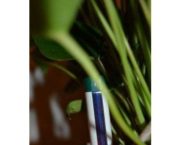 Update: Ernas grünes Wohnzimmer - wie geht's eigentlich der Flamingoblume?