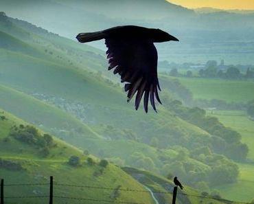 wallpaper-1689754