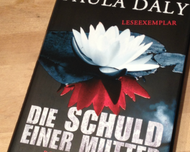 [Rezension] Die Schuld einer Mutter von Paula Daly