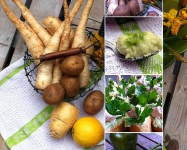 Petersilienwurzelmus...