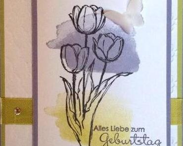 Tulpen aus ...