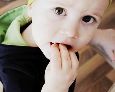 mieze und miezekater ...