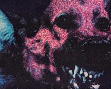 Protomartyr: Die ganze Palette