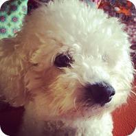 Sonntagmorgenfüller | 06.-12.04.2014