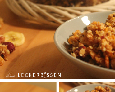 Bananen-Cranberry Knuspermüsli