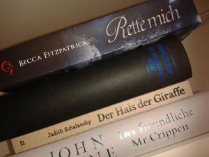 Die ewig angelesenen Bücher
