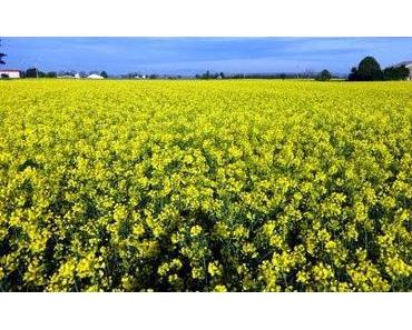 Frankreich: Applaus in der Nacht