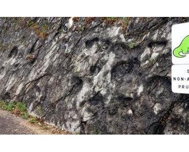 Frankreich: seichnasse Dinosaurier auf dem Heimweg