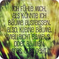 Sonntagmorgenfüller | 27.04.-03.05.2014