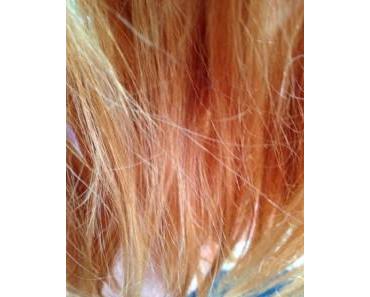 Review: Frizz Ease Seidentraum & Wunderkur