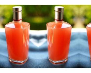 Trink Pink: Rhababersirup selber machen