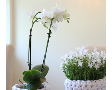 Aufgehübschte Blumentöpfe