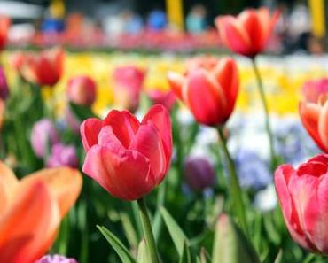 gärten der welt, berlin, im april