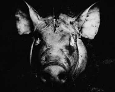 Slaughterhouse – House Rules [Mixtape x Free Download]