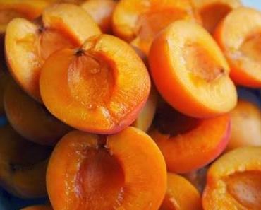 Apricot Tart - Aprikosenkuchen - Was für eine Woche!
