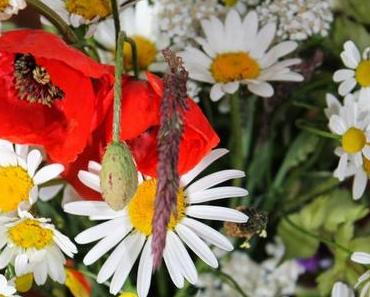 Früher war alles besser?!