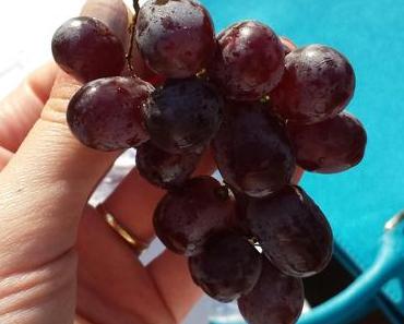 OUTFIT: Let´s have a Picknick