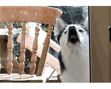 The Art of GIF, Part 9