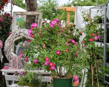 Veranstaltungstipp: Garden Life in Reutlingen