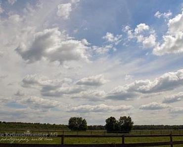 Himmel und so | Hunderunde