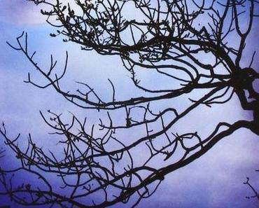 Sonntagsbuchempfehlung