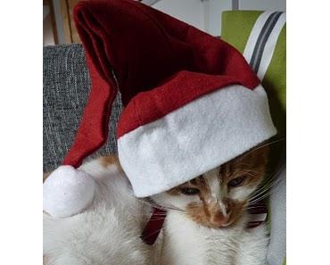 Ich wünsche euch ein frohes Fest! :)
