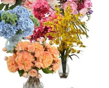 Ist das noch normal, oder spinne ich?