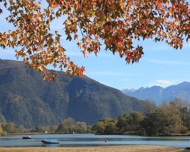 Badespaß mit Hund am Comer See