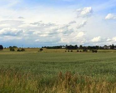 Noch vier Wochen und dann...