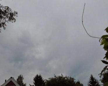 Siebenschläfer, die ersten zwei Woche sind rum