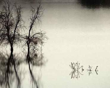 wallpaper-1689754