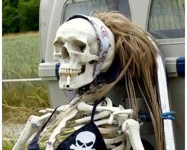 Versicherungen – welche sind wirklich wichtig?