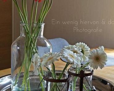 Schneeweisschen & Rosenrot & Mina's Frage