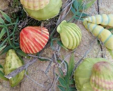Muschel Cake Balls " Under the Sea "