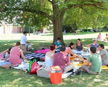 Food Blogger Picknick im Wiener Burggarten